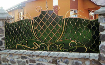 Паркани